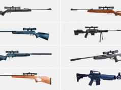 Silent Shooter: The 15 Best Air Rifles