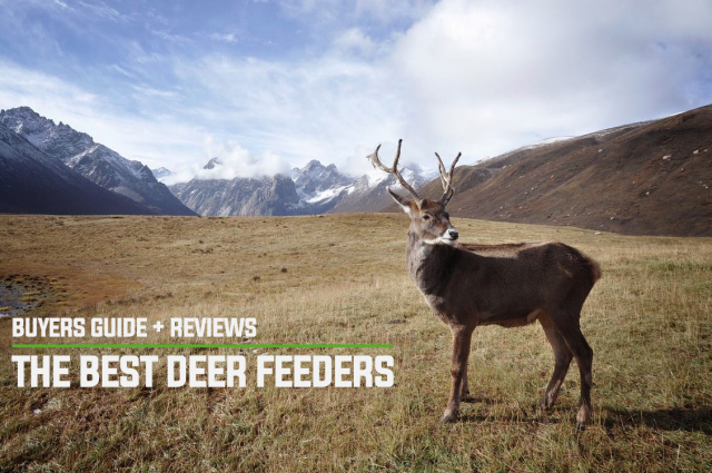 best deer feeders buyers guide and reviews best deer feeders buyers guide and reviews