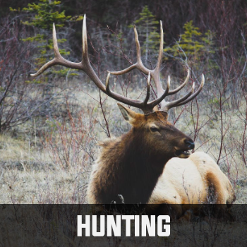 hunting-category